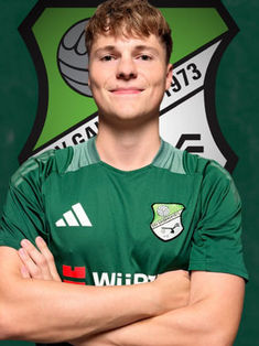 Nico Huber