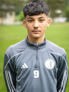 Darijan Damir Subasic