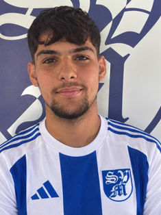 Vincenzo Oddo