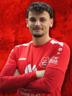 Jannis Levi Matthes