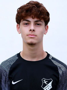 Mesut Yildiz