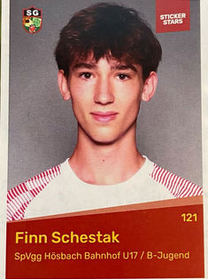 Finn Schestak