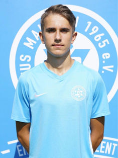 Vuk Vasiljevic
