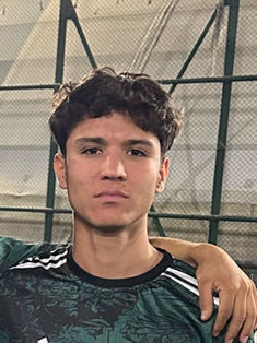 Sayed Ali Hosseini