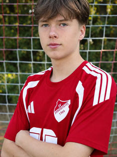 Luis Benedikt Hauswald