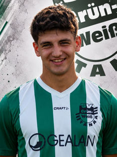 Joshua Mertins