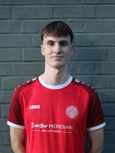 Henrik Perner
