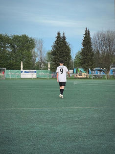 Joshua Mertins
