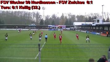 Fussball DFL DFB original Lizenzlogo Reginalliga FSV Wacker Nordhausen 90 