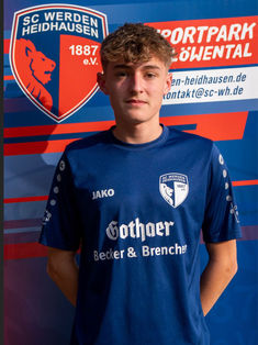 Zoltan Elias Rudics