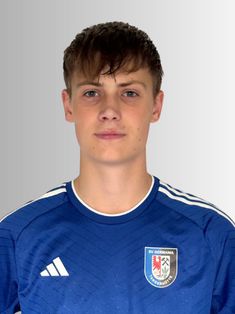 Maurice-Lucien Hermann