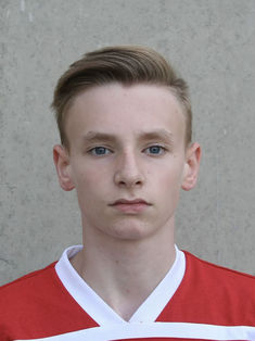 Fabian Niklas Gnärich