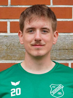 Bela Hollwedel