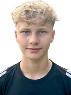 Luca Gaul