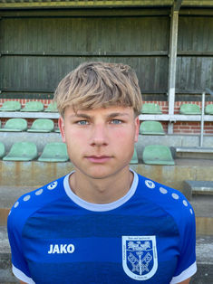 Hannes Emil Hufendiek