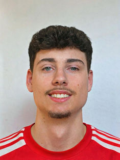 Karlo Stjepanovic