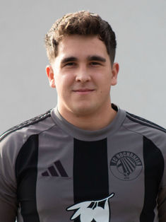 Niko Meier