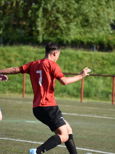 Danijel Vejnovic