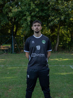 Aleksandar Obradovic