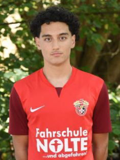 Raman Arabkashani