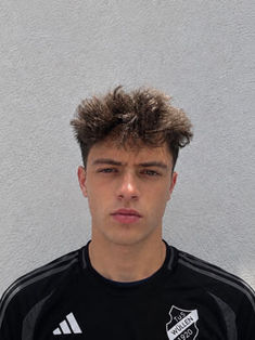 Alessio De Benedictis
