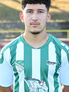 Mert Bulut