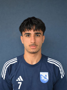 Ahmad Mugtaba Osmani