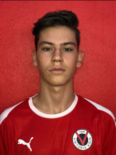 Aldin Dervisevic