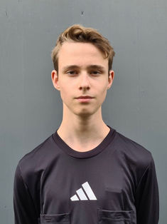 Amandus Hinse