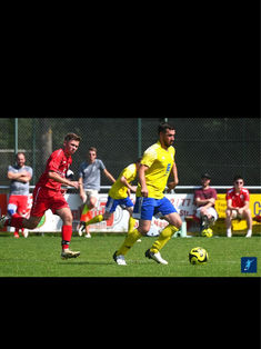 Adis Alic