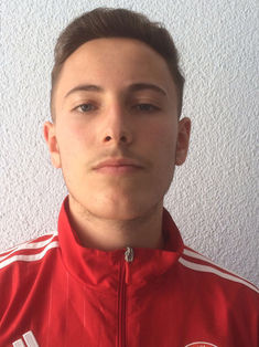Niklas Quarz