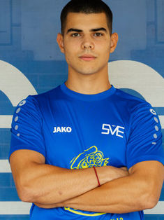 Vincent Aryaie