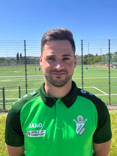 Raffaele Guerra