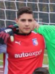 Michael Sahin