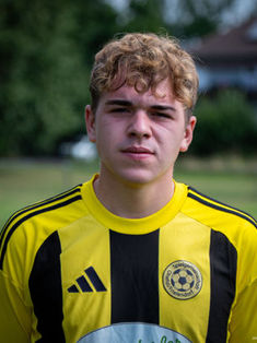 Niklas Miess