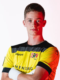 Hendrik Ostermann