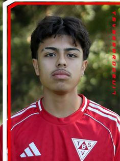 Hugo Steven Luyo Salazar