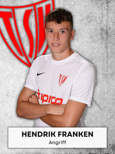 Hendrik Franken