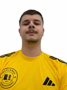 Anes Ibralic