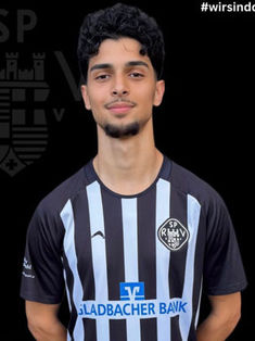 Hasan Ali M. Al-Shammari