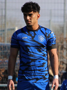 Rastin Ansari Khaledi