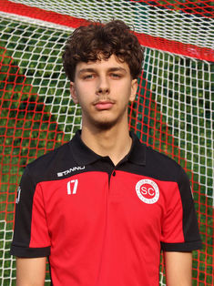 Noa Udovic