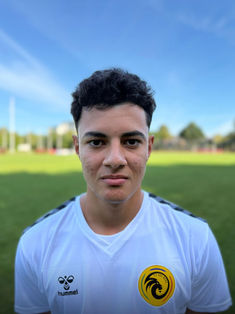 Suleiman Shahoud Alhalak