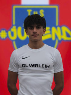 Talha Efe Aydemir