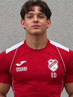 Erich-Gabriel Dulca