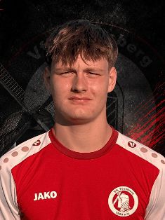 Nik Hölber