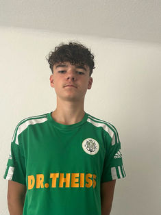 Dario Paul Schmelzer