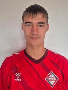 Fabian Zwafink