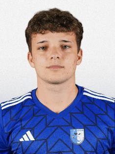 Felix Vogel