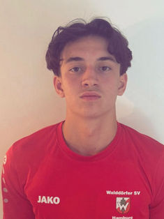 Finn Leo Viole